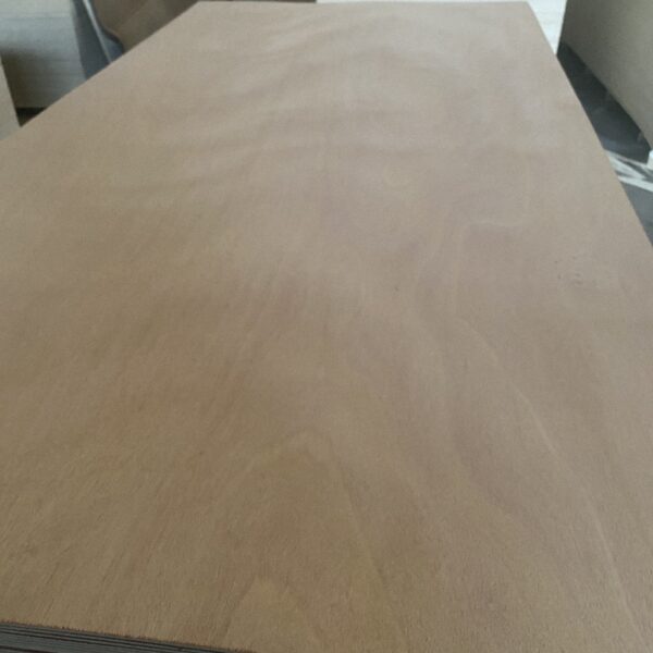 Poplar Plywood