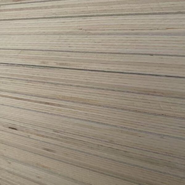Poplar Plywood