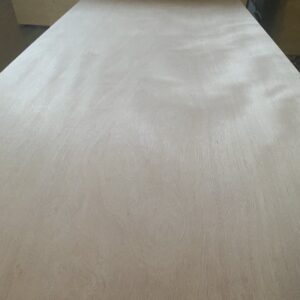 Poplar Plywood