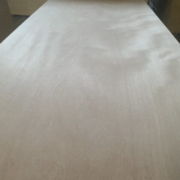 Poplar Plywood